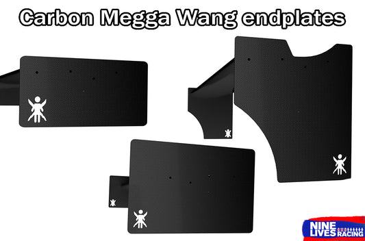 End Plates for Carbon Wáng