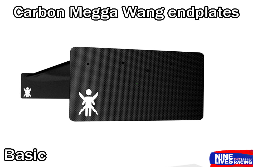 End Plates for Carbon Wáng