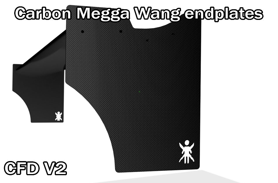 End Plates for Carbon Wáng