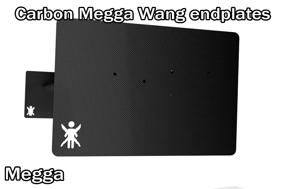 End Plates for Carbon Wáng