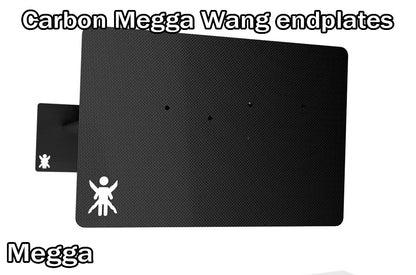 End Plates for Carbon Wáng