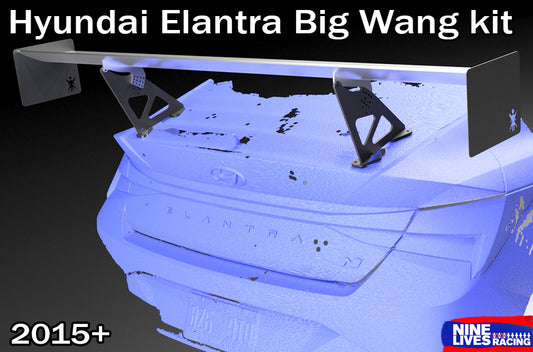 Elantra Big Wang Kit